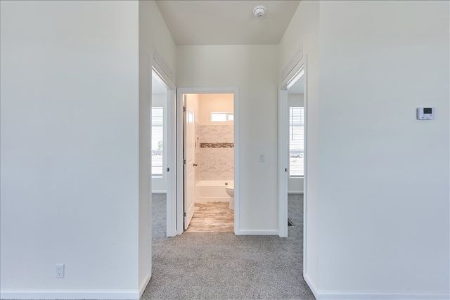 4562 Tule Drive, Topock, AZ 86436