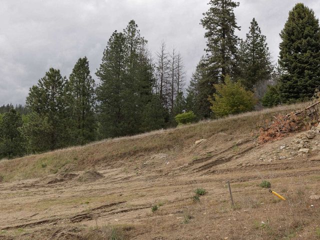 11817 E HONEYCOMB SPRINGS Ln, Spokane, WA 99206