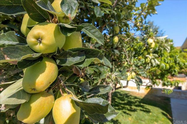 827 Bayberry Ct., San Marcos, CA 92069