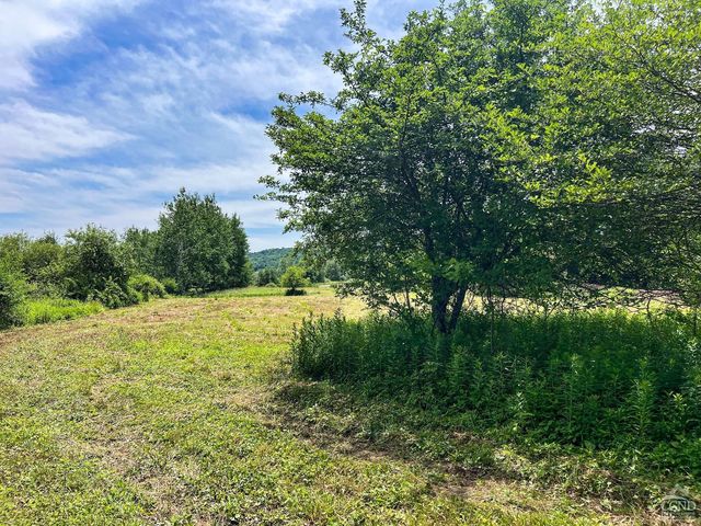 0 Woodland Hills Road, Andes, NY 13731