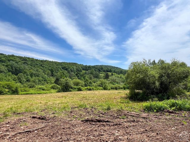 0 Woodland Hills Road, Andes, NY 13731