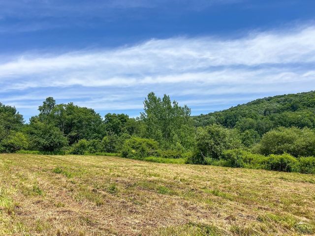 0 Woodland Hills Road, Andes, NY 13731
