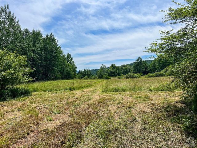 0 Woodland Hills Road, Andes, NY 13731