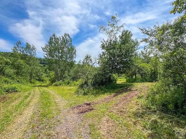 0 Woodland Hills Road, Andes, NY 13731