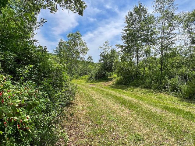 0 Woodland Hills Road, Andes, NY 13731