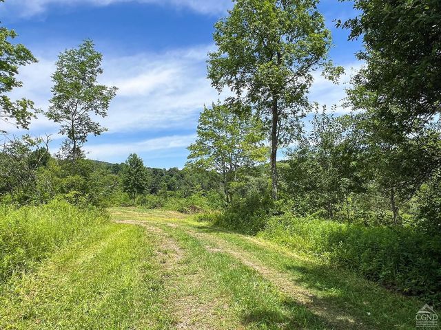 0 Woodland Hills Road, Andes, NY 13731