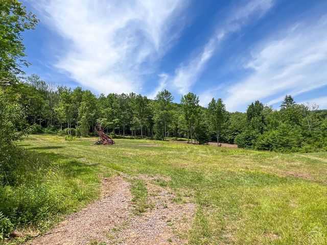 0 Woodland Hills Road, Andes, NY 13731