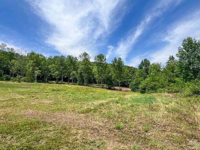 0 Woodland Hills Road, Andes, NY 13731
