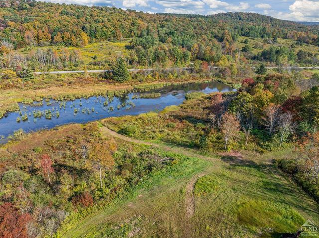 0 Woodland Hills Road, Andes, NY 13731