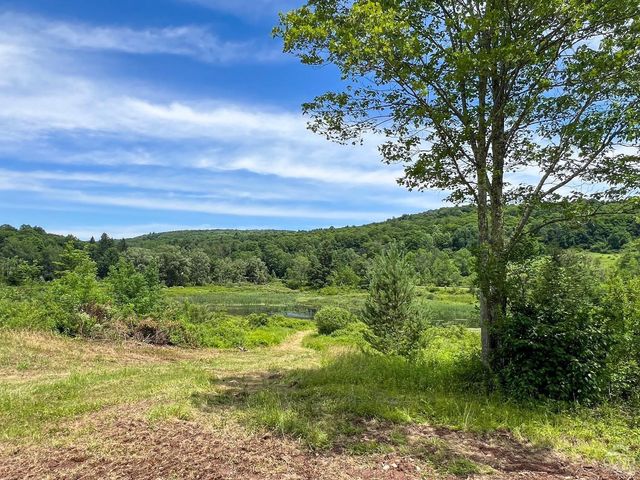 0 Woodland Hills Road, Andes, NY 13731
