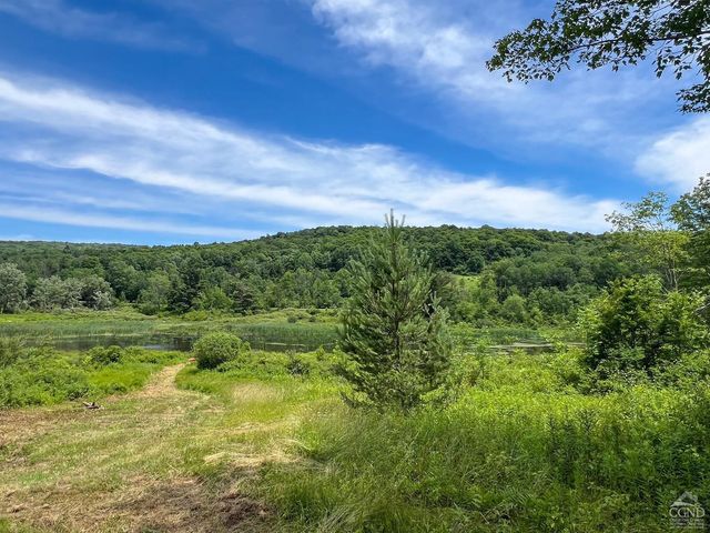 0 Woodland Hills Road, Andes, NY 13731