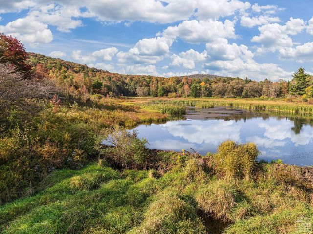 0 Woodland Hills Road, Andes, NY 13731