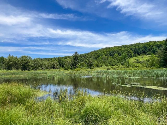 0 Woodland Hills Road, Andes, NY 13731