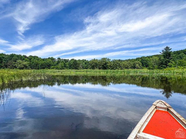 0 Woodland Hills Road, Andes, NY 13731