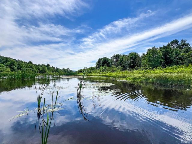 0 Woodland Hills Road, Andes, NY 13731