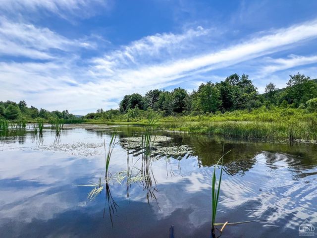 0 Woodland Hills Road, Andes, NY 13731