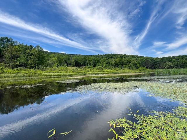 0 Woodland Hills Road, Andes, NY 13731