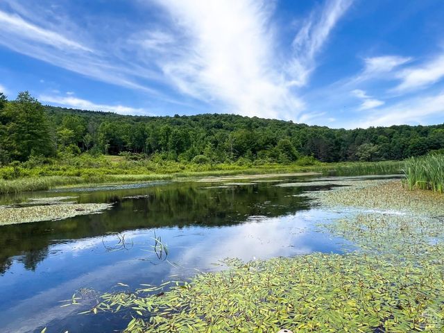 0 Woodland Hills Road, Andes, NY 13731