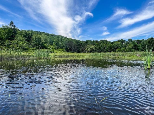 0 Woodland Hills Road, Andes, NY 13731