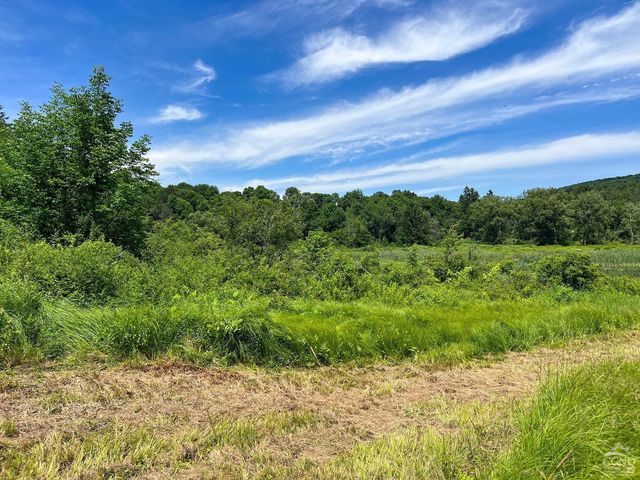 0 Woodland Hills Road, Andes, NY 13731