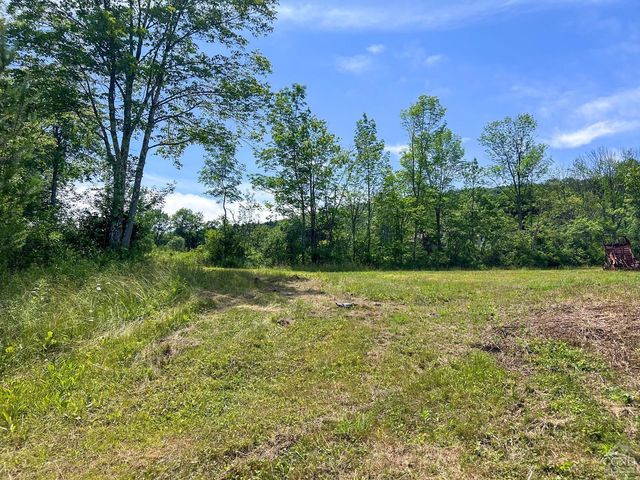 0 Woodland Hills Road, Andes, NY 13731