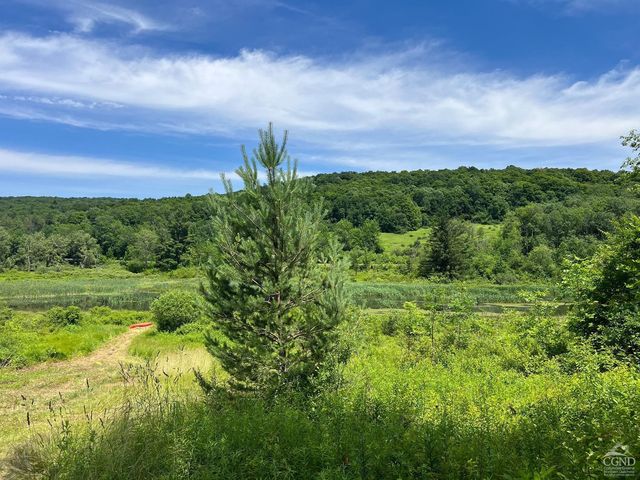 0 Woodland Hills Road, Andes, NY 13731