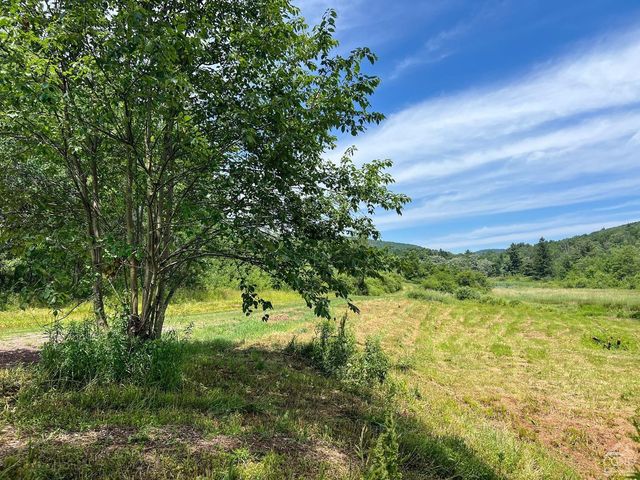 0 Woodland Hills Road, Andes, NY 13731