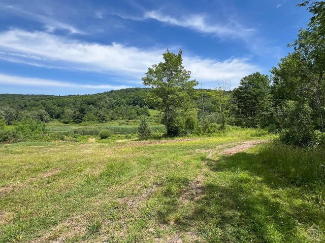 0 Woodland Hills Road, Andes, NY 13731
