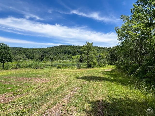 0 Woodland Hills Road, Andes, NY 13731