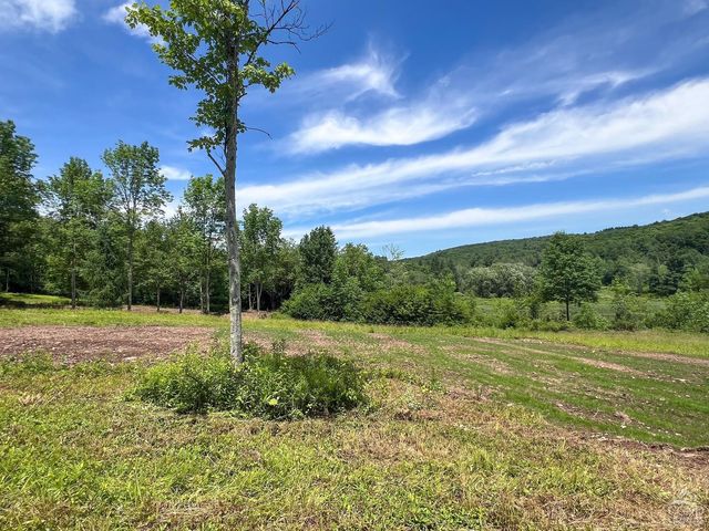 0 Woodland Hills Road, Andes, NY 13731
