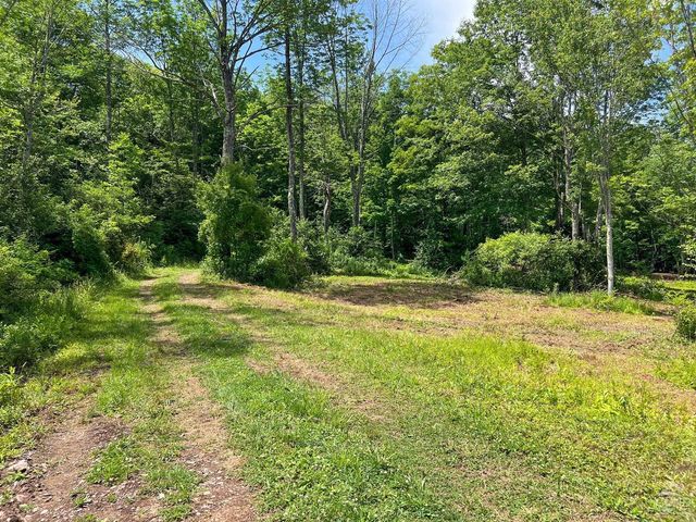 0 Woodland Hills Road, Andes, NY 13731
