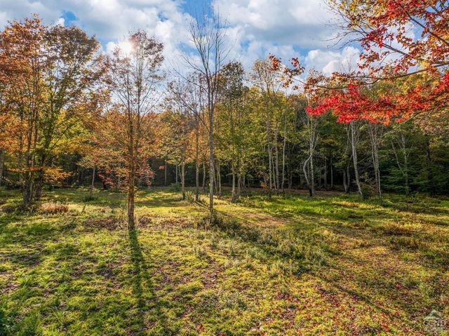0 Woodland Hills Road, Andes, NY 13731