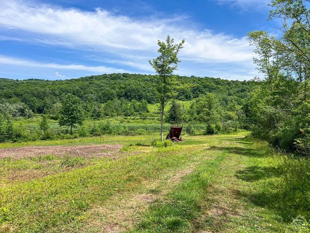 0 Woodland Hills Road, Andes, NY 13731