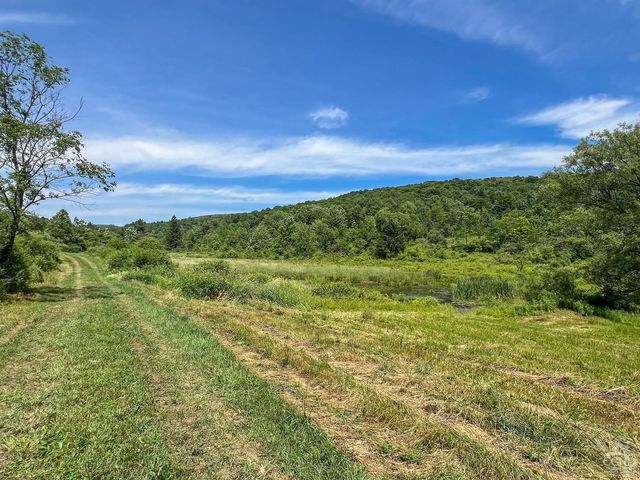 0 Woodland Hills Road, Andes, NY 13731