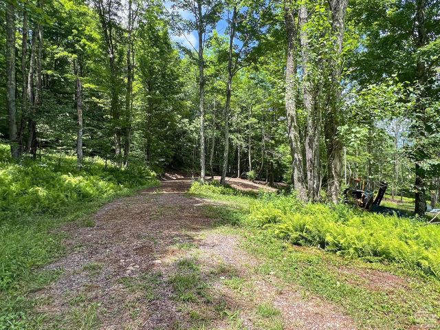 0 Woodland Hills Road, Andes, NY 13731