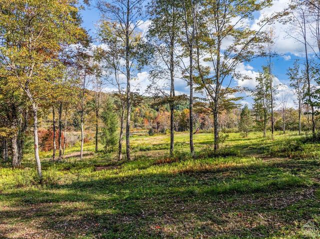 0 Woodland Hills Road, Andes, NY 13731