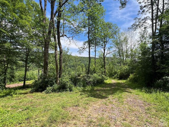 0 Woodland Hills Road, Andes, NY 13731