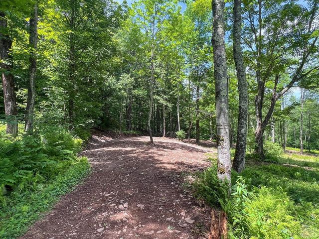 0 Woodland Hills Road, Andes, NY 13731