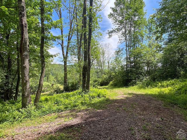 0 Woodland Hills Road, Andes, NY 13731