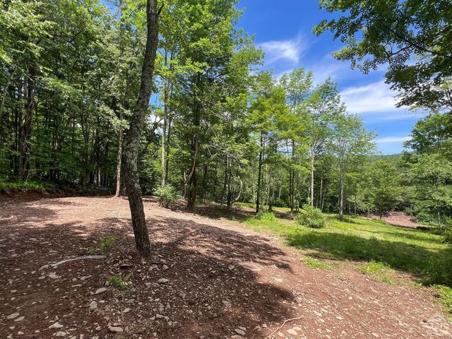 0 Woodland Hills Road, Andes, NY 13731