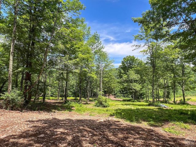 0 Woodland Hills Road, Andes, NY 13731