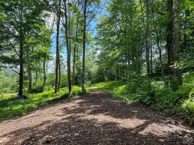 0 Woodland Hills Road, Andes, NY 13731