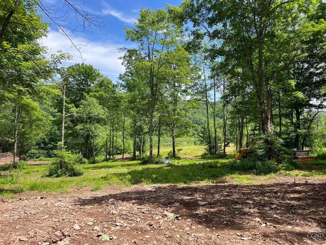 0 Woodland Hills Road, Andes, NY 13731