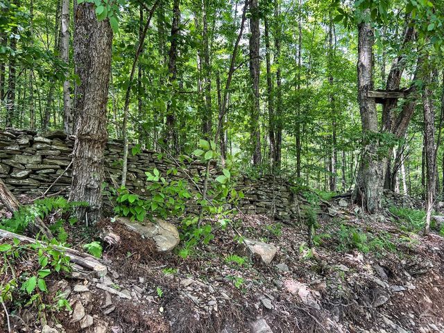 0 Woodland Hills Road, Andes, NY 13731