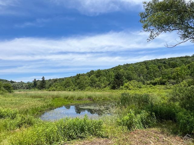 0 Woodland Hills Road, Andes, NY 13731