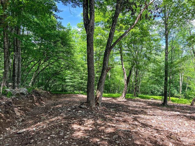 0 Woodland Hills Road, Andes, NY 13731