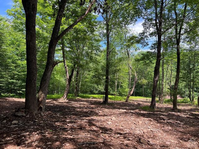 0 Woodland Hills Road, Andes, NY 13731