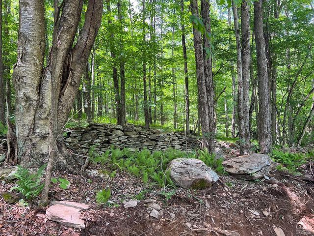 0 Woodland Hills Road, Andes, NY 13731
