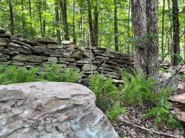 0 Woodland Hills Road, Andes, NY 13731