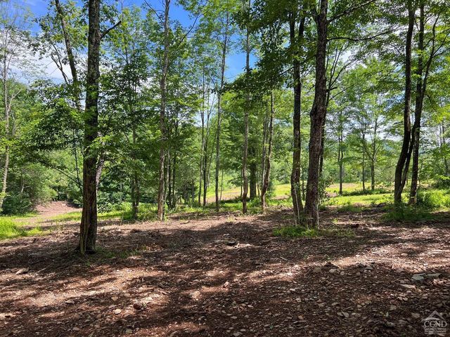 0 Woodland Hills Road, Andes, NY 13731